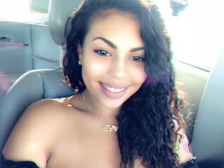 BusyBusyBee's Cam Profile Image